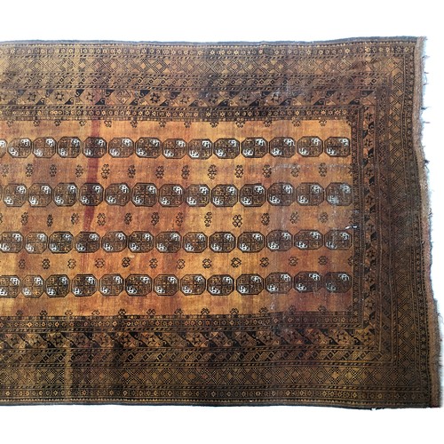 669 - A large orange ground Tekke style rug, 240x315cm