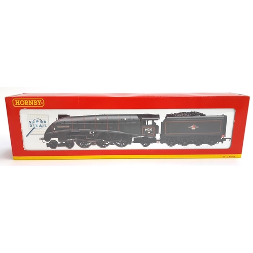 117 - A Hornby OO gauge BR 4-6-2 Class A4 locomotive and tender, 'Golden Fleece', R2101, boxed