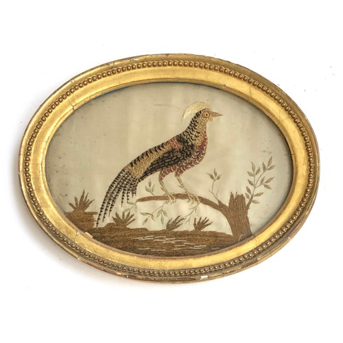 284 - A pair of Georgian silk needleworks depicting fancy birds on stumps, in oval frames, each with glass... 