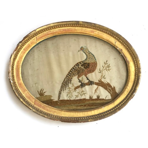 284 - A pair of Georgian silk needleworks depicting fancy birds on stumps, in oval frames, each with glass... 