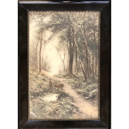 600 - A print of deer in a forest, 55x36cm, in a black and gilt frame