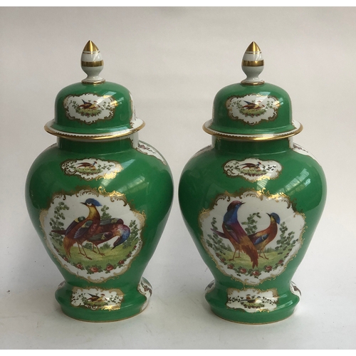 232 - A pair of large continental porcelain urns, painted with panels of fancy birds on a green ground, he... 