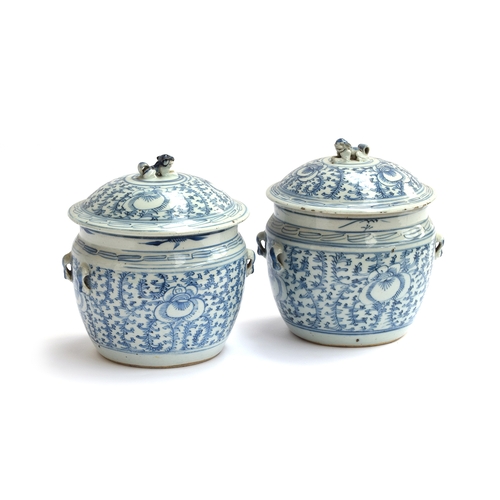 204 - A pair of Chinese blue and white lidded wine jars, the lids surmounted by foo dogs, each 22.5cm high