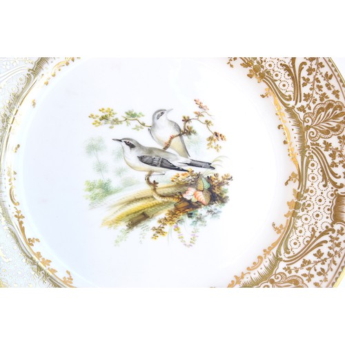 233 - A lot of thirteen hand painted dinner plates, each with a central hand painted scene of birds, borde... 