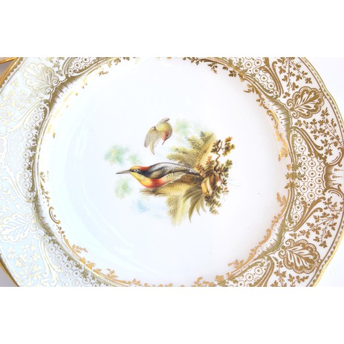 233 - A lot of thirteen hand painted dinner plates, each with a central hand painted scene of birds, borde... 