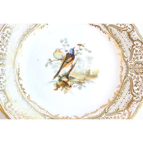 233 - A lot of thirteen hand painted dinner plates, each with a central hand painted scene of birds, borde... 