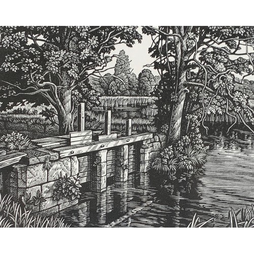 305 - Howard Phipps RWA, SWE (b. 1954), 'Salisbury Water Meadows', wood block print, signed in pencil and ... 