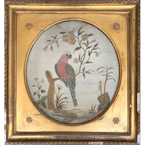 285 - A Georgian silk picture of a parrot perched on a branch, in a gilt gesso frame, 38x34cm