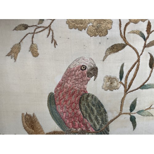 285 - A Georgian silk picture of a parrot perched on a branch, in a gilt gesso frame, 38x34cm