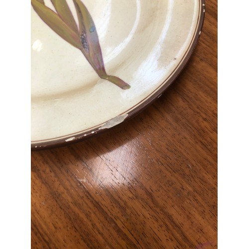 229 - A Davenport pearlware botanical dessert service, each piece hand painted with a flower within brown ... 