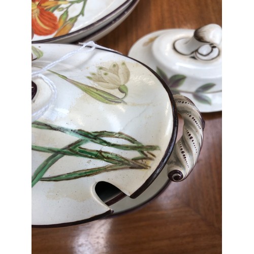 229 - A Davenport pearlware botanical dessert service, each piece hand painted with a flower within brown ... 