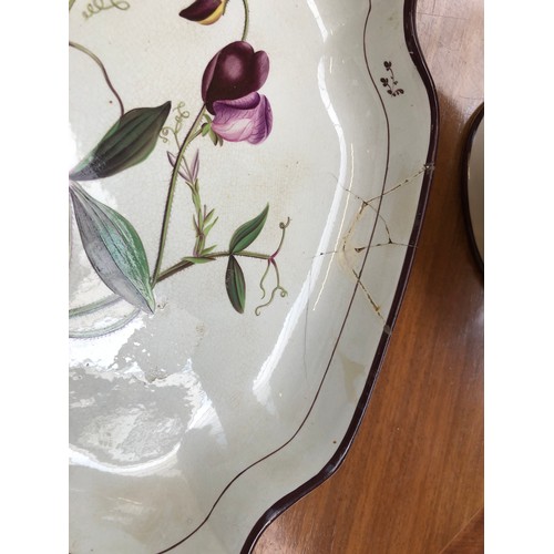 229 - A Davenport pearlware botanical dessert service, each piece hand painted with a flower within brown ... 