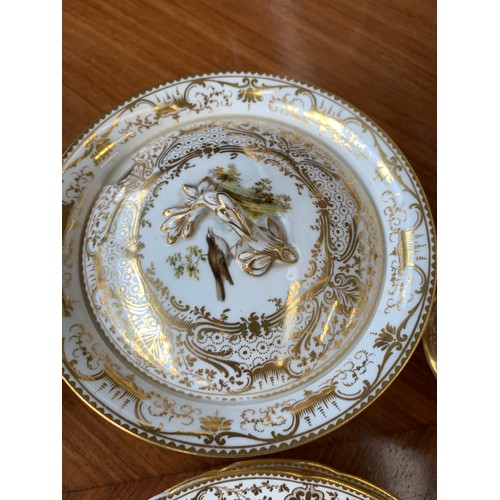 233 - A lot of thirteen hand painted dinner plates, each with a central hand painted scene of birds, borde... 