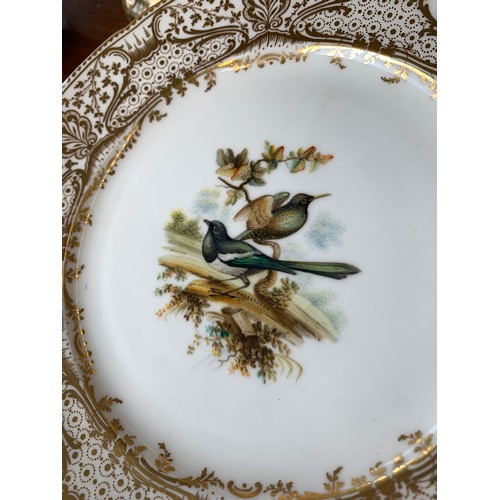 233 - A lot of thirteen hand painted dinner plates, each with a central hand painted scene of birds, borde... 