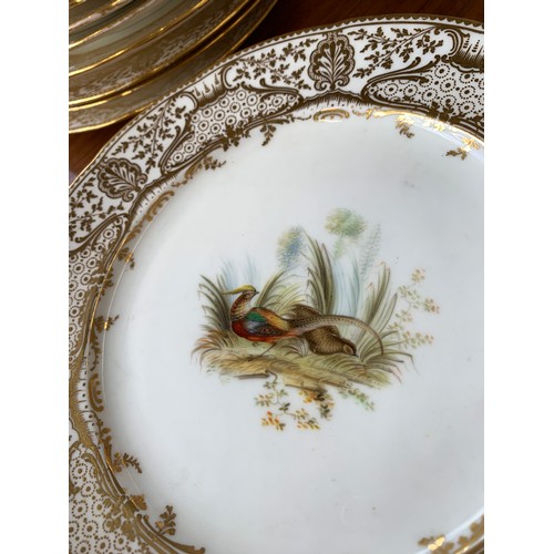 233 - A lot of thirteen hand painted dinner plates, each with a central hand painted scene of birds, borde... 