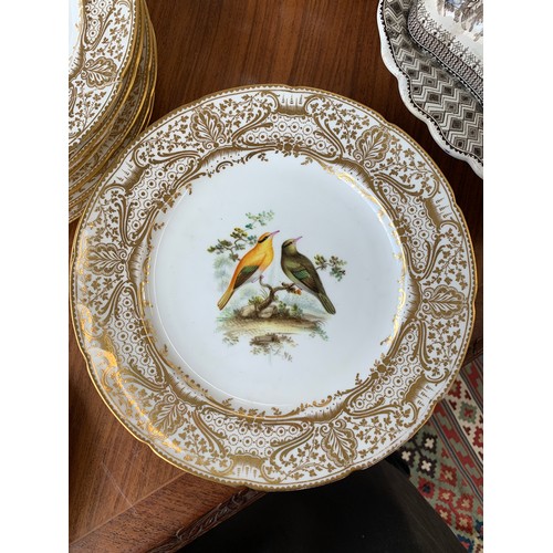 233 - A lot of thirteen hand painted dinner plates, each with a central hand painted scene of birds, borde... 