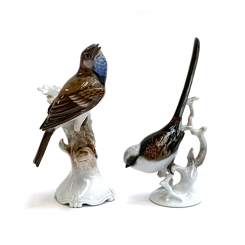 85 - Two Rosenthal porcelain birds, one impressed 'Schwansmeise' to base, 17cmH, the other impressed T. K... 