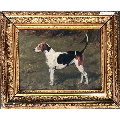 238 - George Paice (1854-1925), Portrait of Ringwood, a foxhound, signed and dated lower right 'G. Paice',... 