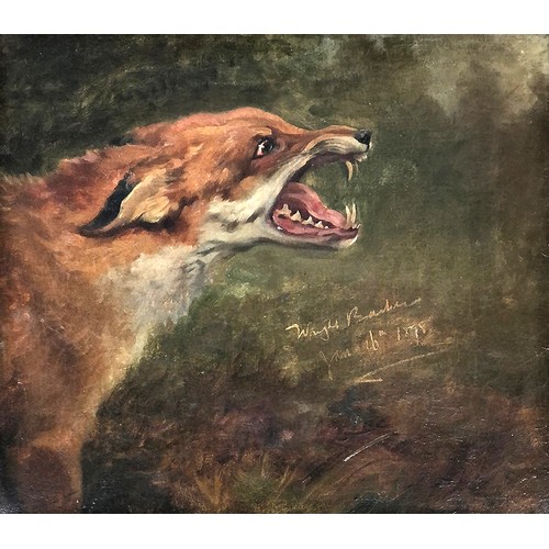 Wright Barker (1864-1941), Study of a Fox, signed and dated 'Wright Barker 1898, oil on canvas, 37x42cm