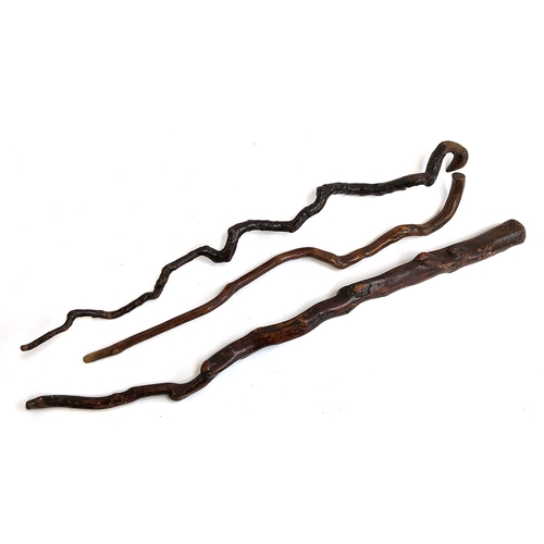 94 - Three country walking sticks, of twisted hazel, 80cm, 92cm, and 99cm long