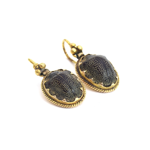 19 - A pair of Victorian gilt metal mounted scarab beetle earrings, 2.8cm long