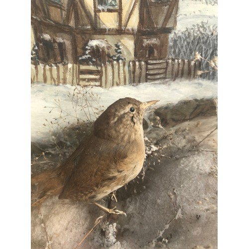 191 - Taxidermy interest: two robins in a naturalistic setting, one with head in need of reattachment, the... 