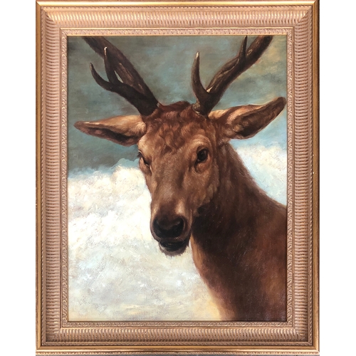 694 - After Diego Velazquez, head of a stag, oil on canvas, 65x4cm