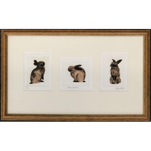 689 - Debby Mason, 'Three Rabbits', set of three colour engravings, signed, titled and numbered 44/150, tw... 