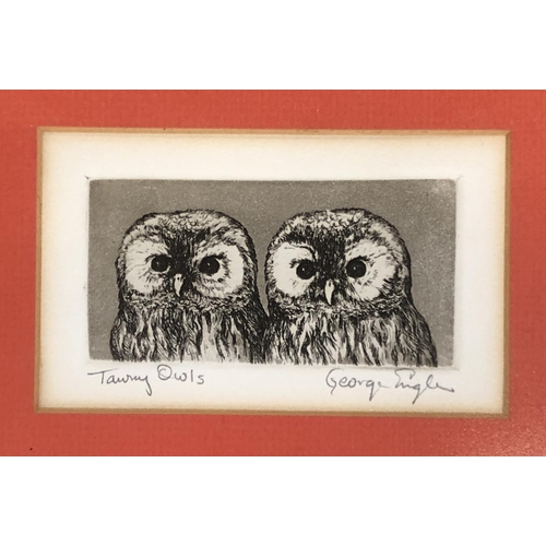 649 - George Engle (1932-1983), 'Tawny Owls', drypoint etching, 5x10cm