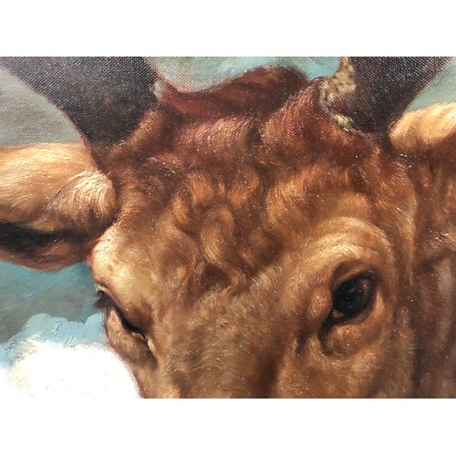 694 - After Diego Velazquez, head of a stag, oil on canvas, 65x4cm