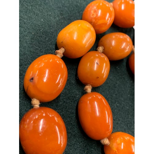24 - An early 20th century amber bead necklace, knotted, the beads graduating from 1.1cm to 3.3cm, unclas... 