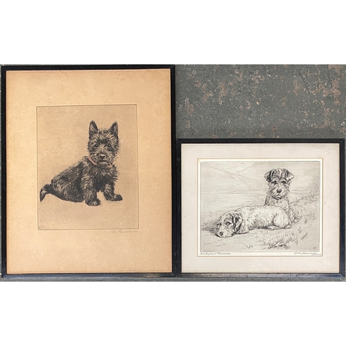 873 - Lucy Dawson (1870-1954), drypoint etching of terriers, 18x23cm; together with a further engraving of... 