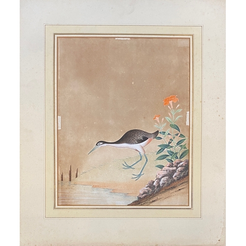 976 - A late 19th/early 20th century Chinese gouache on paper of a waterbird, 44x35cm