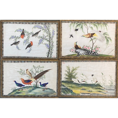 1001 - A set of four Chinese bird studies, gouache on parchment, 21.5x33.5cm (4)