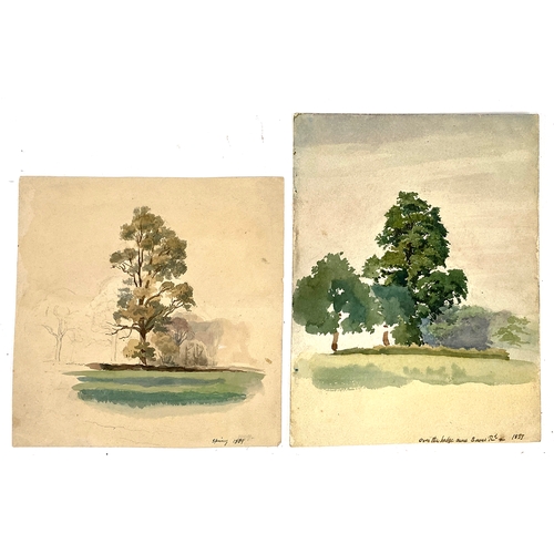 1008 - Late 19th century watercolours: two tree studies, titled 'Spring 1889' and 'Over the Hedge...1889', ... 