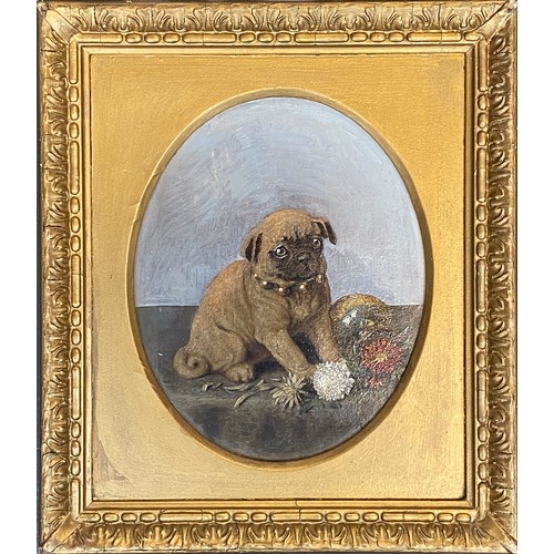 571 - Horatio Henry Couldery (1832-1918), puppy playing with flowers, oil on board, signed with monogram l... 