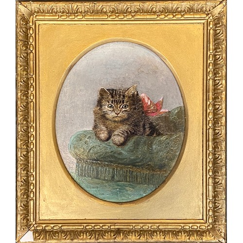 572 - Horatio Henry Couldery (1832-1918), tabby kitten on a chair, oil on board, signed with monogram lowe... 