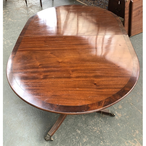 836 - A mahogany twin pedestal D end dining table in Regency style, 96cmW 74cmH 150cmL when closed, the sp... 