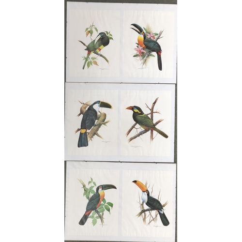 578 - A quantity of botanical and ornithological prints to include wild orchids, magnolia, hummingbirds, p... 