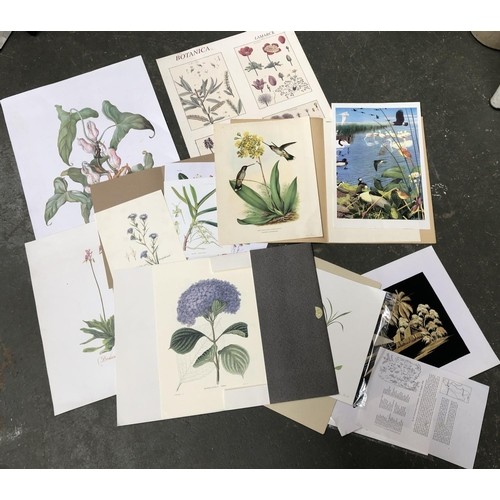 578 - A quantity of botanical and ornithological prints to include wild orchids, magnolia, hummingbirds, p... 