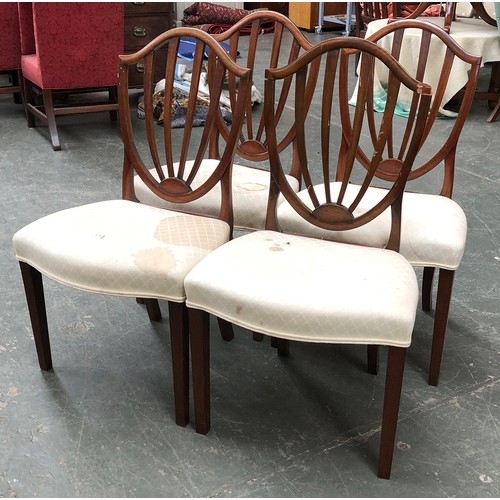 843 - A set of four Regency shield back dining chairs, serpentine stuffover seats, on square tapered legs,... 