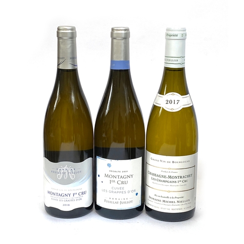 2288 - Chassagne Montrachet 1er Cru Les Champs Gains Marc Colin 2017, 4x75cl; and Domaine Feuillat-Juillot,... 