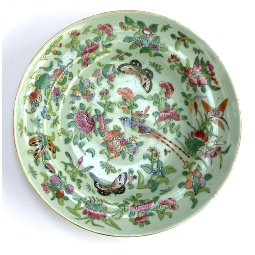 176 - A Chinese celadon famille verte plate decorated with birds butterflies and flowers, 25cmD