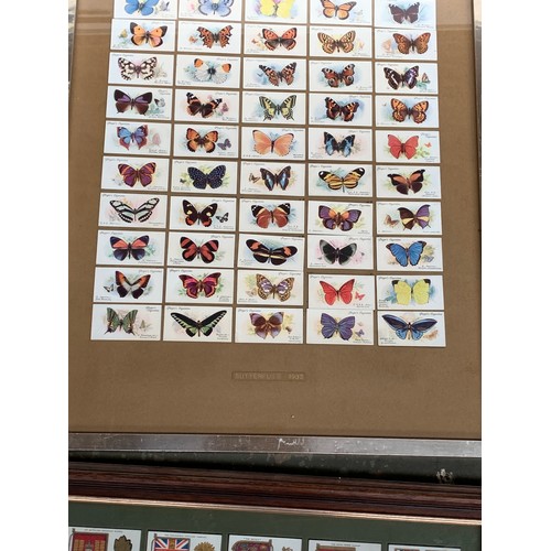 509 - A quantity of framed and glazed Player's cigarette cards to include cricket, butterflies, planes, et... 