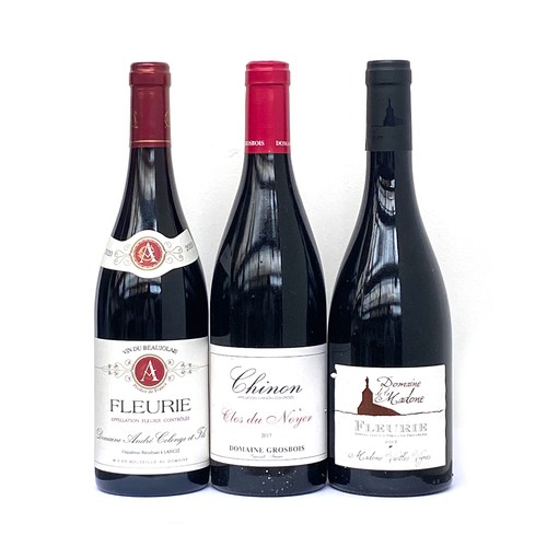 2293 - Grosbois Chinon Clos du Noyer 2017, 3x75cl; Domaine de la Madone Fleurie Vieille Vignes 2017, 2x75cl... 