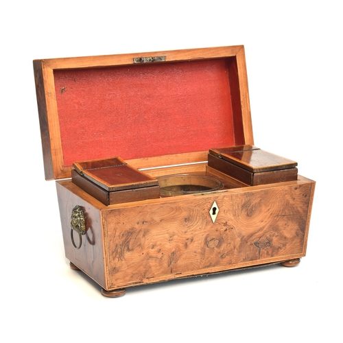 224 - A Regency yew wood tea caddy of sarcophagus form, the tablet top opening to twin canisters and glass... 