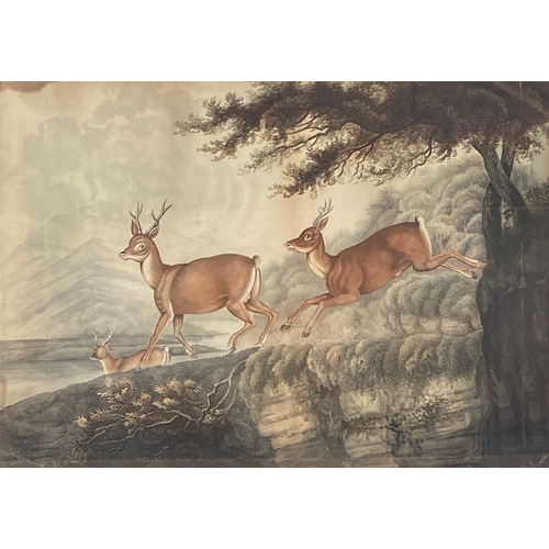 296 - Samuel Howitt (1756-1822), 'The Roe-Buck', 18th century watercolour on paper of deer, dated to mount... 