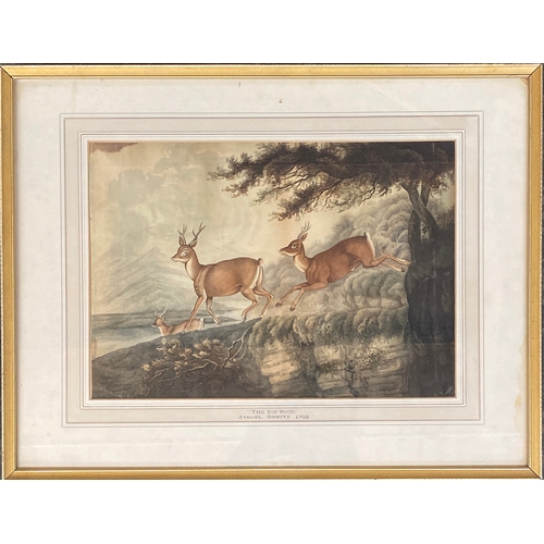 296 - Samuel Howitt (1756-1822), 'The Roe-Buck', 18th century watercolour on paper of deer, dated to mount... 