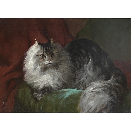 329 - A late 19th century/early 20th century oil on canvas of a fluffy Maine Coon cat, monogrammed CJ, 40x... 