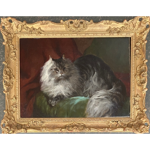 329 - A late 19th century/early 20th century oil on canvas of a fluffy Maine Coon cat, monogrammed CJ, 40x... 